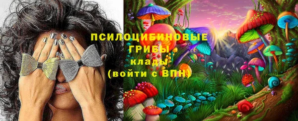 мяу мяу мука Алзамай